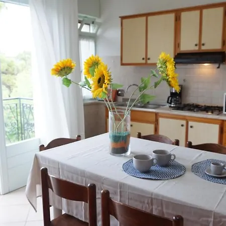 Apartment Fantastic Flat In A Quiet With Terrace In Lignano Pineta