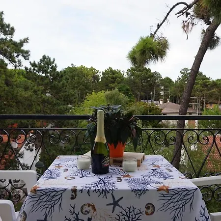 Apartment Fantastic Flat In A Quiet With Terrace In Lignano Pineta Lignano Sabbiadoro
